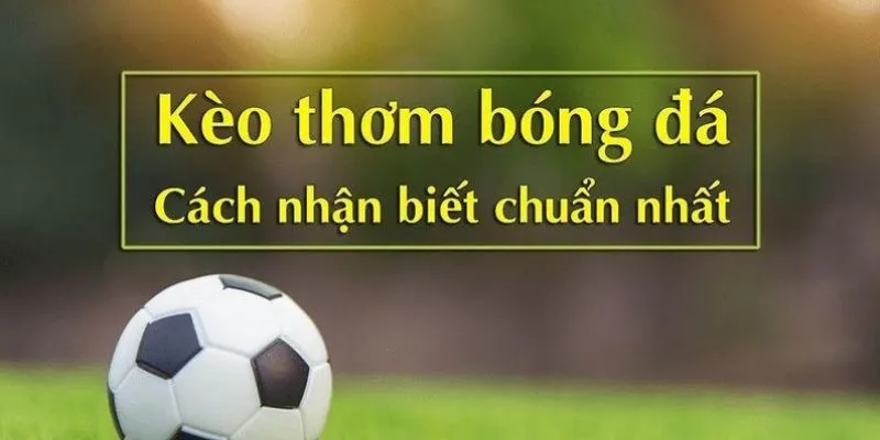 Tổng hợp những bí quyết nhận diện kèo thơm dễ dàng