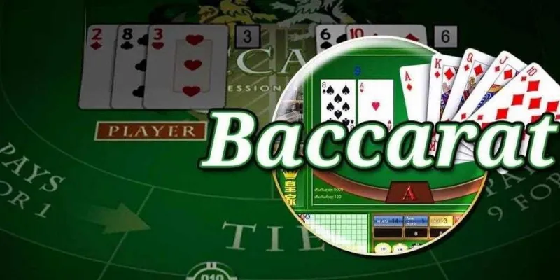 Các loại hình đặt cược và tỷ lệ thưởng của Baccarat