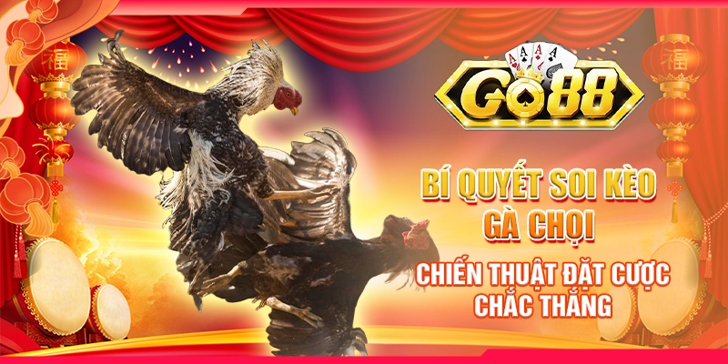 Bí quyết soi kèo gà chọi - Chiến thuật đặt cược chắc thắng